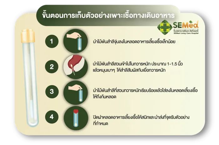 การเก็บตัวอย่างเพาะเชื้อทางเดินอาหาร (Stool culture collection)