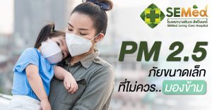 PM 2.5 scaled