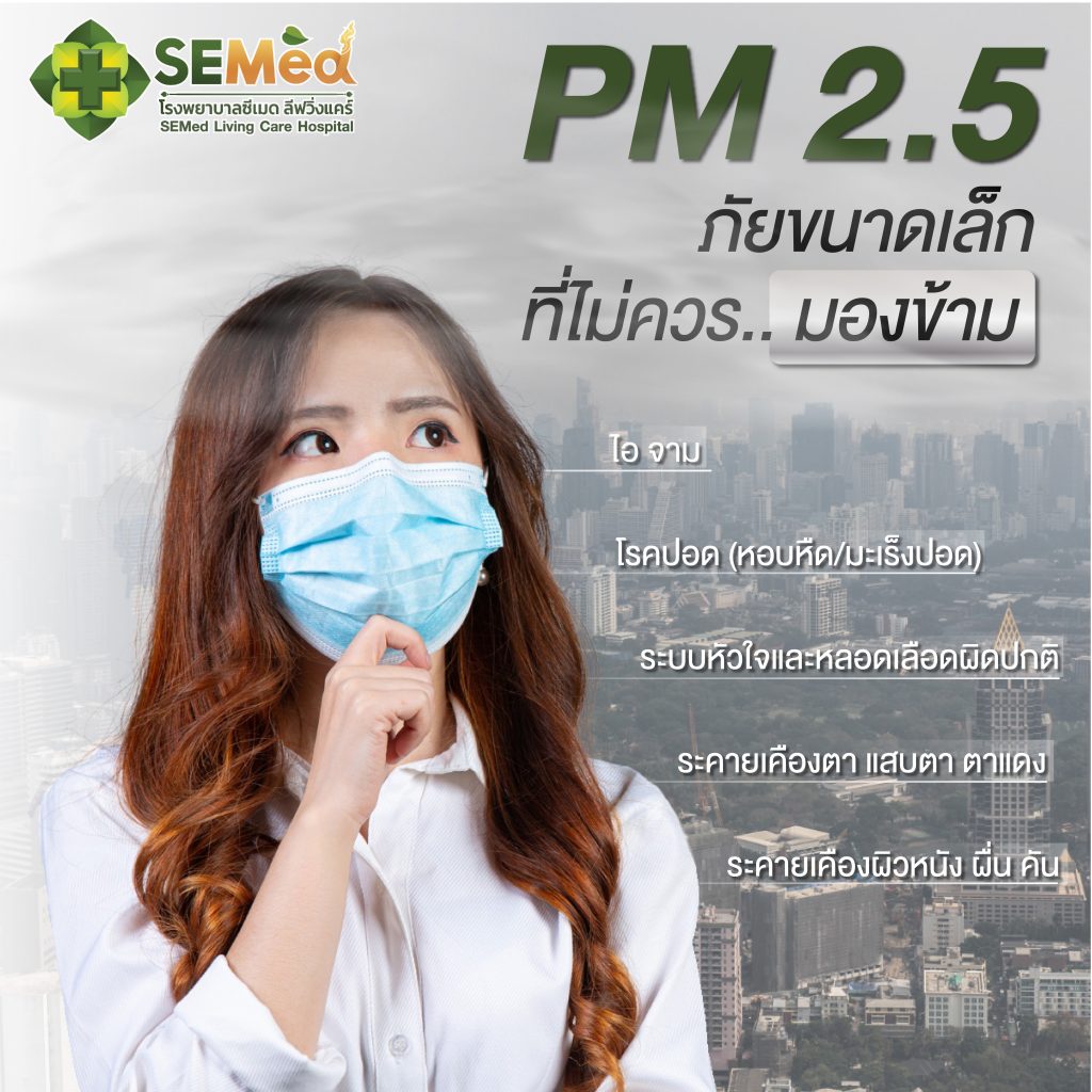 banner PM 2.5 02 scaled