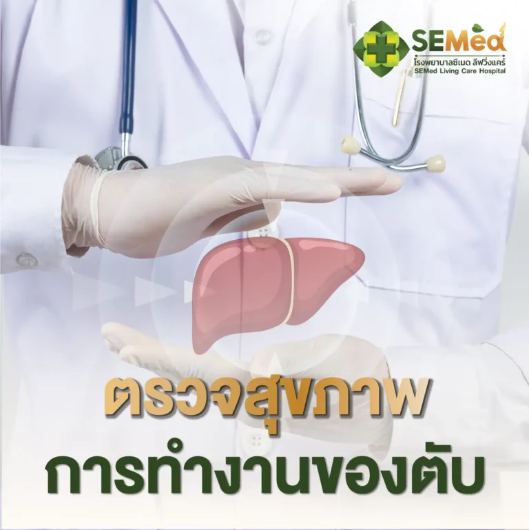 โปรแกรมตรวจการทำงานของตับ Cover 03