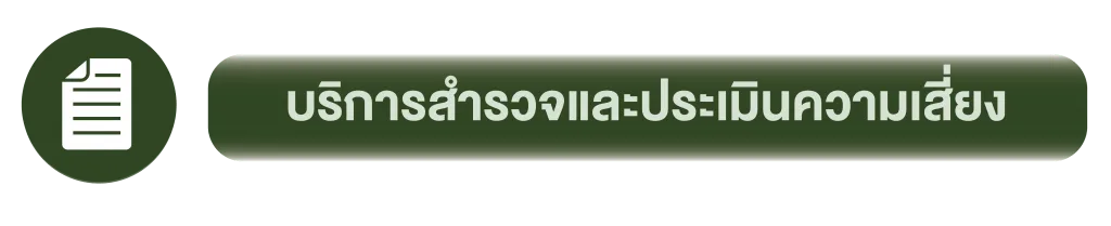 icon 02 1
