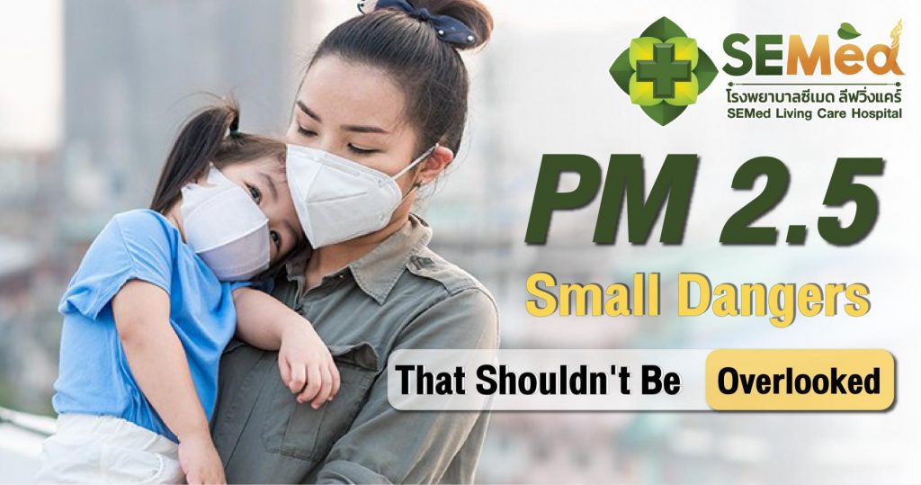 PM 2.5 04 04