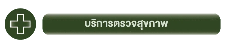 บริการตรวจสุขภาพ icon 02