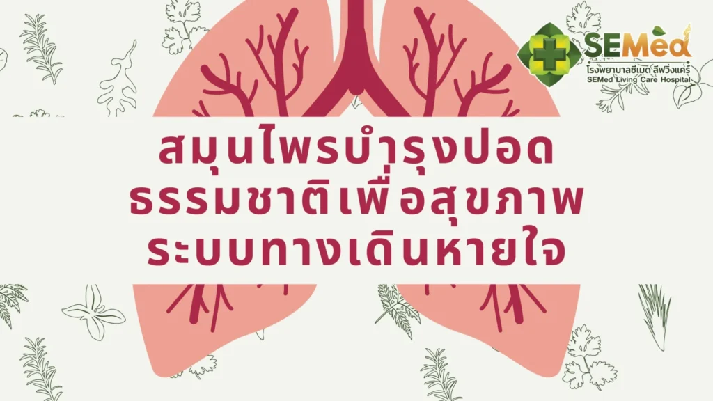 สมุนไพรบำรุงปอด
