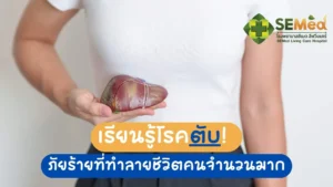 liver desease