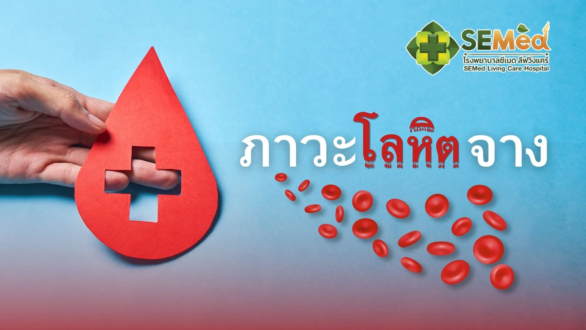 บทความสุขภาพ ภาวะโลหิตจาง