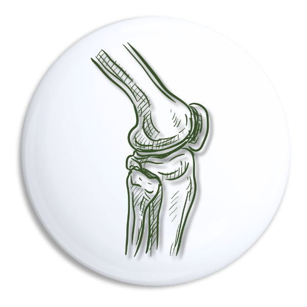 bone